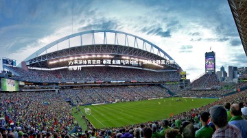 yy易游体育官网-申花主场气势如虹，轻松大胜富力积分榜攀升