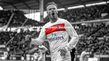 yy易游体育官网-皮诺转会风波，水晶宫还是纽卡？黄潜主席口误引发猜测