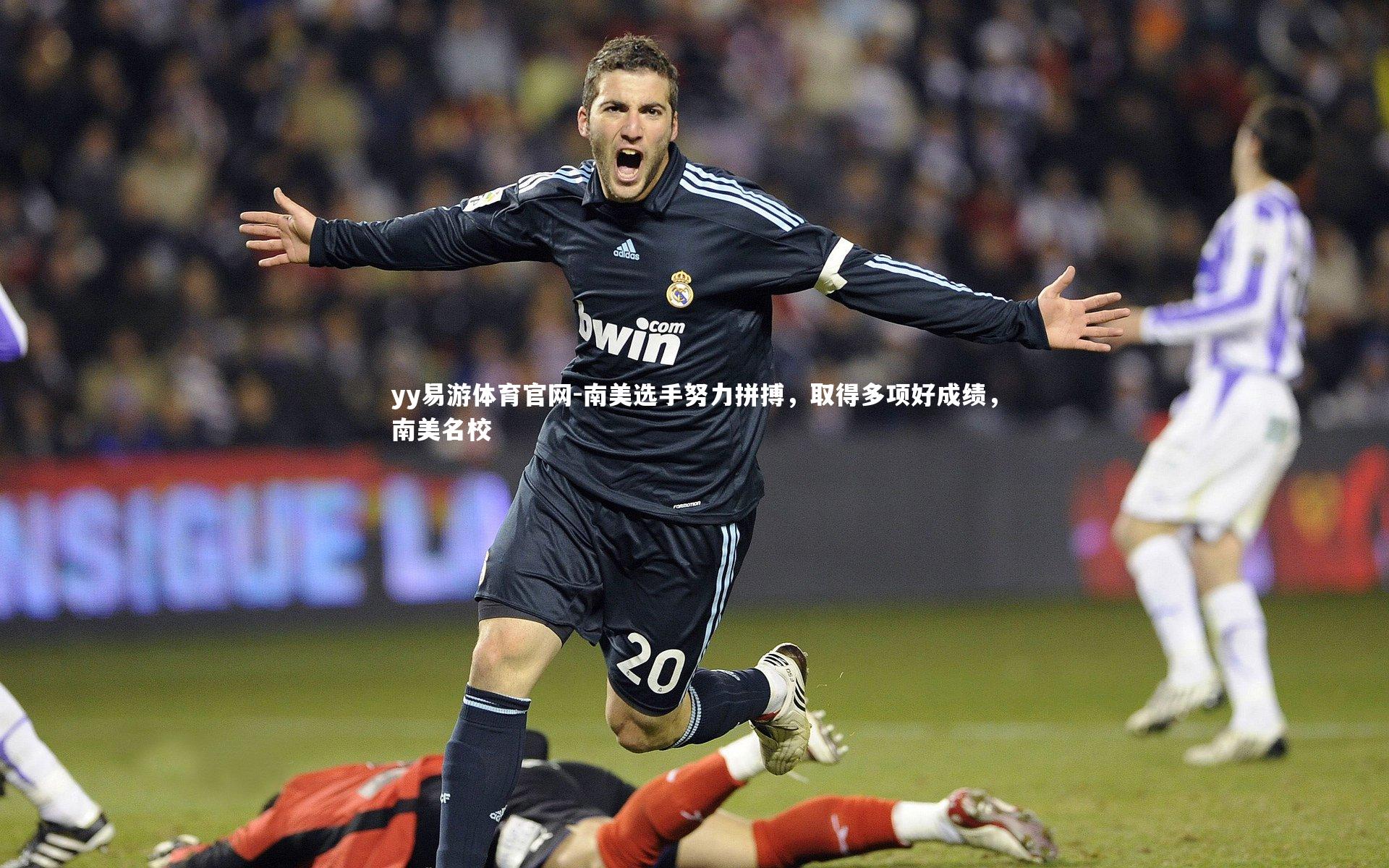 南美选手努力拼搏，取得多项好成绩，南美名校