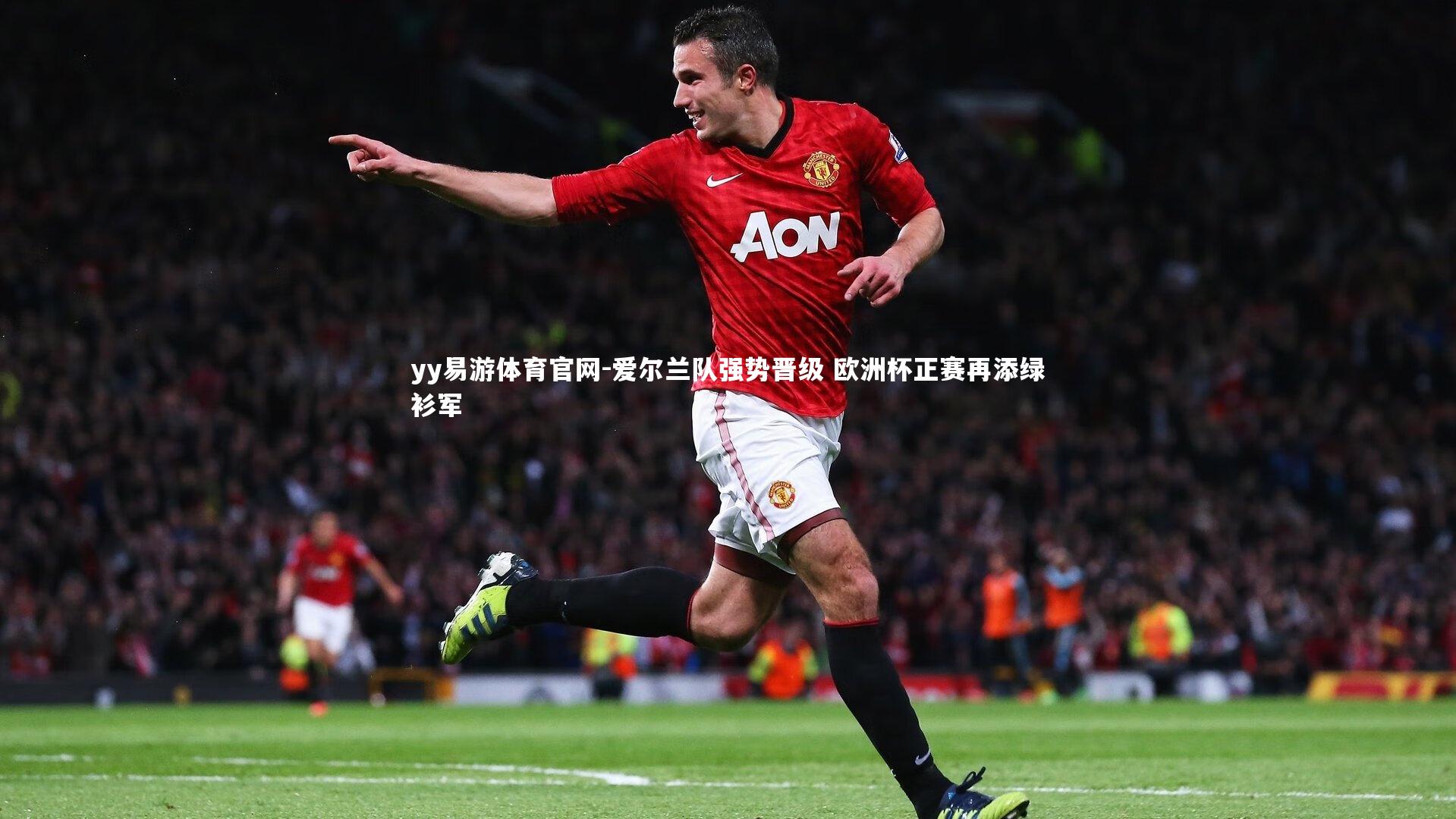 爱尔兰队强势晋级 欧洲杯正赛再添绿衫军